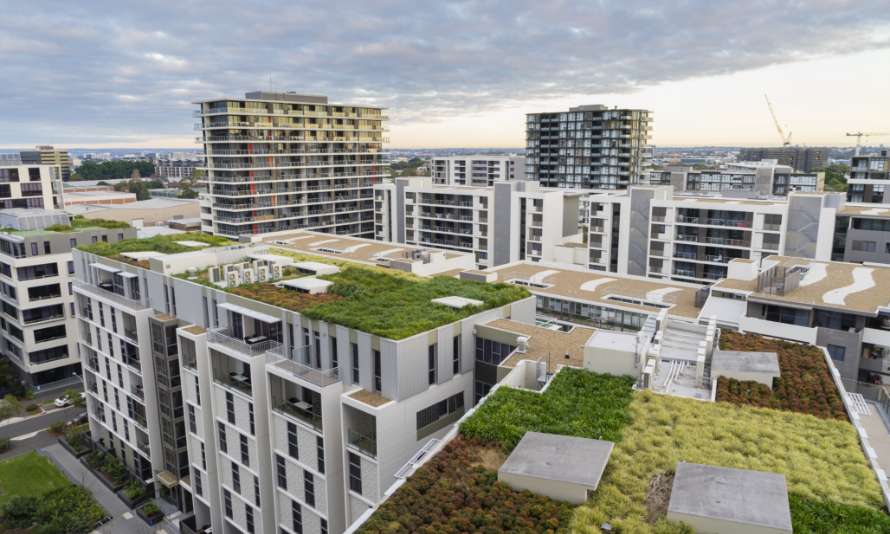 Dach zielony — przyszłość w dużych miastach
